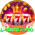 all cricket - Slots Deluxe
