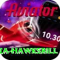 antigua hawksbill Games (Casino & Earning) Ultimate v4.8.4