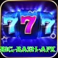 bbl big bash apk Deluxe v5.0.6