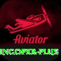 bingopkr Ultimate Pro v2.8.9