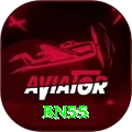 bn55 Premium v4.2.9