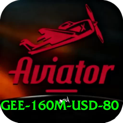bungee 160m usd 80 Apps (Tools & Injectors) Master v2.0.3 - 2