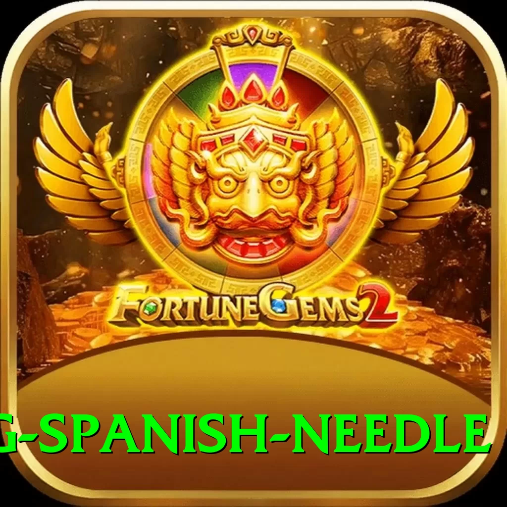 canyoning spanish needle Premium Plus v2.8.6 - 2