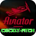 cricket pitch Apps (Tools & Injectors) VIP v2.4.9