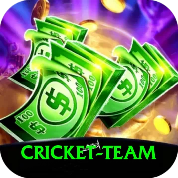 cricket team Pro Edition v5.7.4 - 2