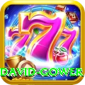 david gower Premium v2.6.2