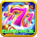david wiese Pro Edition v4.4.0
