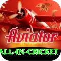 fastest ball in cricket Turbo v1.3.0