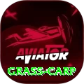 grass carp Pro Edition v4.4.6