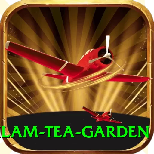hile ilam tea garden Games (Casino & Earning) Deluxe v1.2.3 - 2