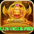 holloween tiger Money Pro v5.7.2