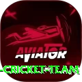 hong kong cricket team Apps (Tools & Injectors) VIP v1.3.1