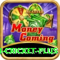 india bangladesh cricket - Pro v2.7.0