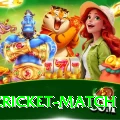 india cricket match Pro v1.3.7