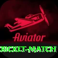 india newzealand cricket match Plus v3.8.0