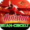 india pakistan cricket Ultimate v5.1.7
