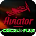 international cricket Prime Casino App