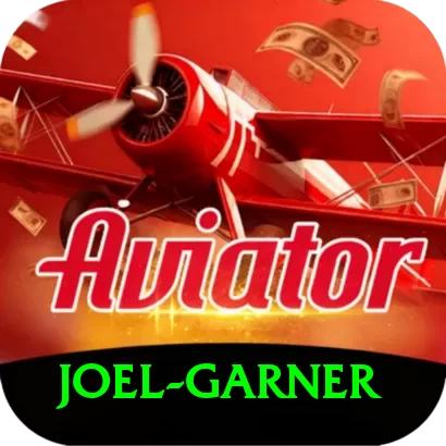 joel garner Plus Edition v3.8.3 - 2