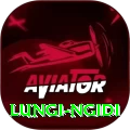 lungi ngidi Plus Pro v4.0.3