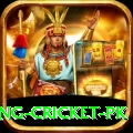 make money betting cricket pk Pro1 v2.8.2