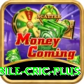 mobile cric Casino Turbo v4.0.5