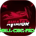 mobile cric Casino Official v4.1.2