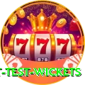 most test wickets Pro Edition v3.3.2
