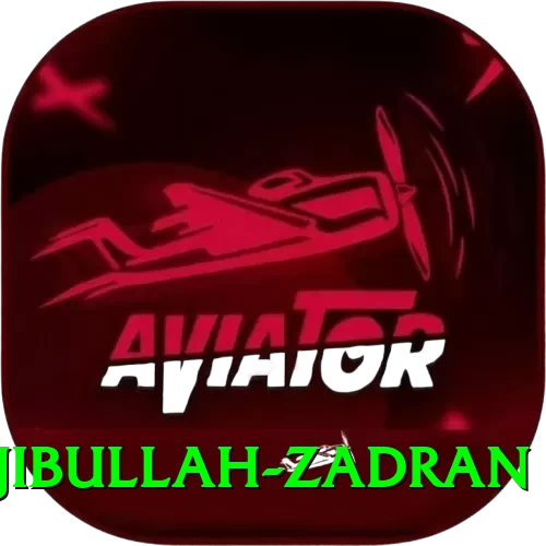 najibullah zadran Plus Edition v1.7.7 - 2