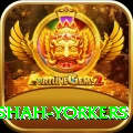 naseem shah yorkers VIP Pro v2.8.1