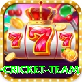 new zealand cricket team Deluxe v2.9.9