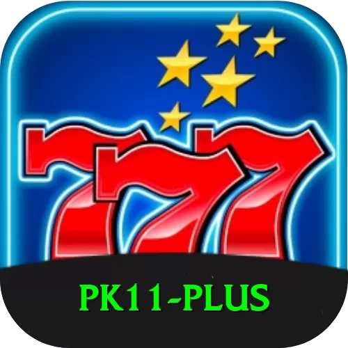 pk11 VIP Pro v1.4.2 - 2