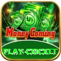 play cricket Pro Edition v5.3.2
