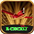 r cricket VIP Edition v1.1.8