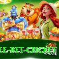 risk free bet cricket Turbo Pro v2.0.6