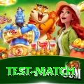 test match Pro v3.1.4