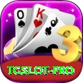 tgslot VIP Edition v2.5.5