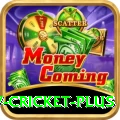 v cricket Slots Royal v5.8.9