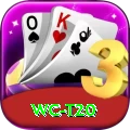 wc t20 Plus Edition v5.8.7