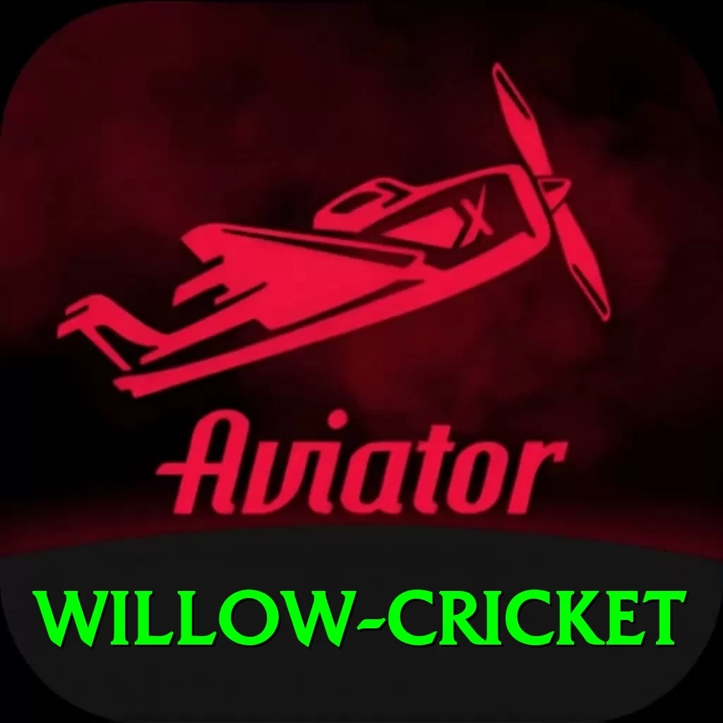 willow cricket Pro1 v3.9.1 - 2