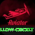 willow cricket Pro1 v3.9.1