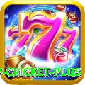 willow cricket Mega Casino App