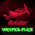 winpkr VIP v5.0.8